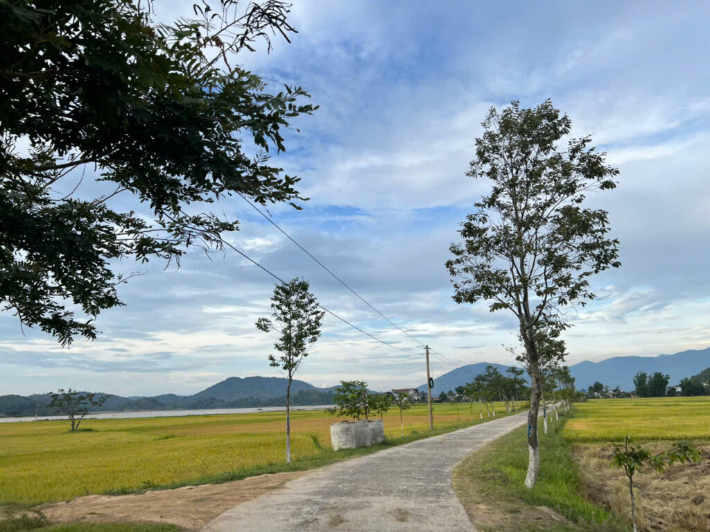 z7200269427564_80e2549fb5fc2daa47a0d94a9e94129b