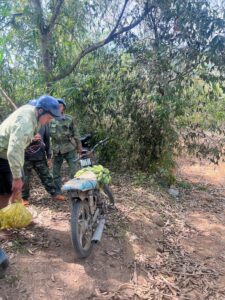 Tìm hiểu 'voi ngủ như thế nào' qua trải nghiệm tại Vân Long: thói quen, an toàn và mẹo chụp ảnh. Gợi ý du lịch, trải nghiệm cưỡi/tắm voi, chụp hình, bản làng Ê Đê, Hồ Lắk.