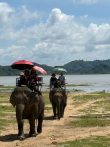 Cưỡi voi ở Hồ Lắk – Vân Long