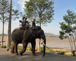 Cưỡi voi ở Hồ Lắk – Vân Long