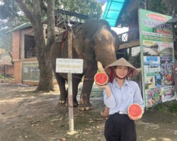 Chụp hình với voi Hồ Lắk